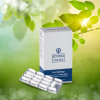 NutriGingko